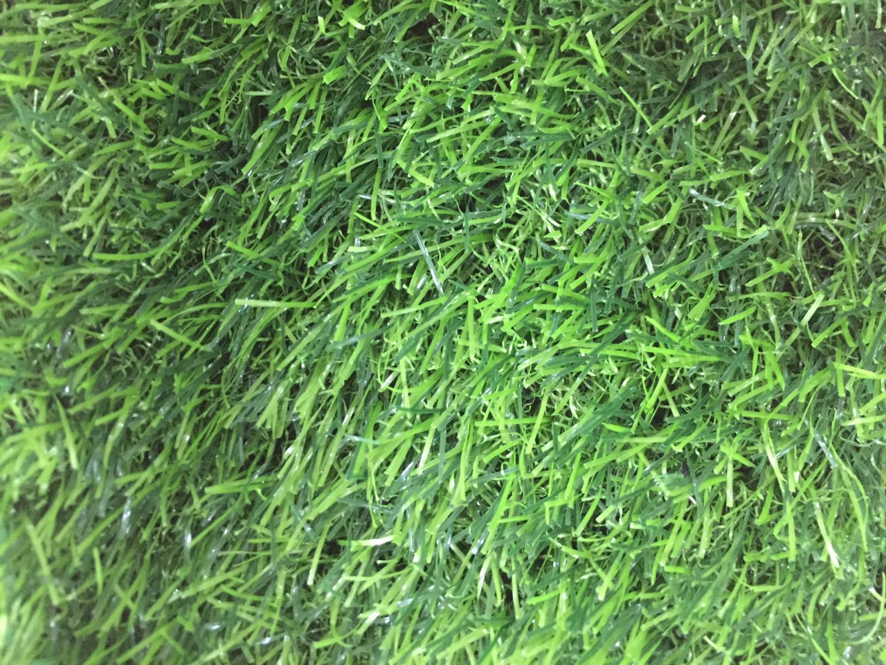 thảm cỏ nhân tạo tại xuân lộc - đồng nai